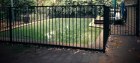 Before John Waters had his pool removed, it frequently wound up discoloured by the leaves from gum trees.