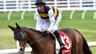 Tom Melbourne Hoping To Make Melbourne Cup His Own With
