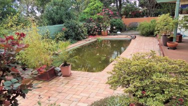 Backyard trout pond
