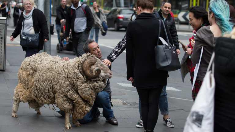 Melbourne S Homeless Ram Jackie Chan Gets A Haircut