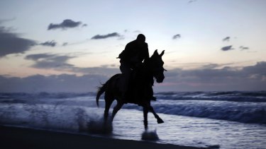 Perth Horse Riders Praise Decision To Overturn Beach Riding Ban