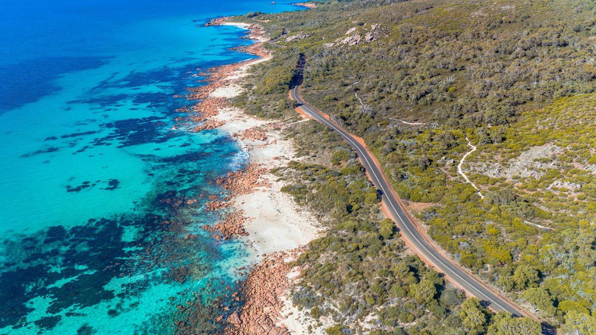 Pet-friendly travel: These are the best road trips across Australia for ...