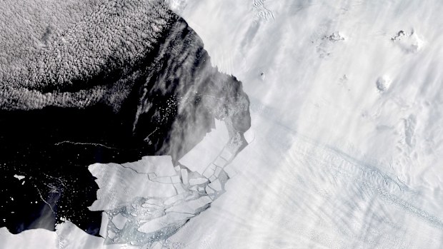 Icebergs detach from the Pine Island Glacier in Antarctica, one of the continent's fastest-retreating glaciers, February 11, 2020.