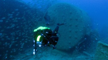 OLYMPUS DIGITAL CAMERA SS Tuggerah?dive site. ?Credit- Michael McFadyen Popular underwater dive sites in the Sydney area. Diving story