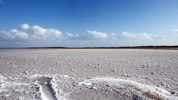Lake MacLeod, a salt lake near the WA coastal town of Carnarvon.
