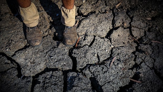 A cracked riverbed during drought in NSW.