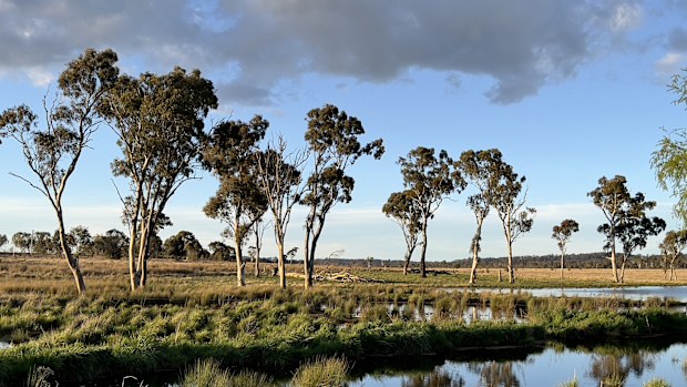 Rural NSW