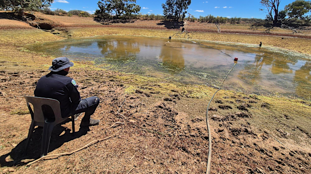 Police have drained a large dam on the remote SA homestead where Gus Lamont vanished just over a month ago.