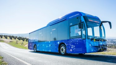 buses monday into canberra hybrid electric act service go transport launch government off trialled months over next