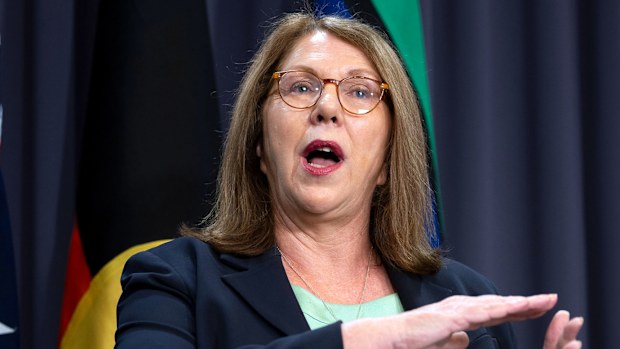 Catherine King during a press conference at Parliament House