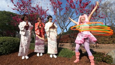 Auburn sakura festival