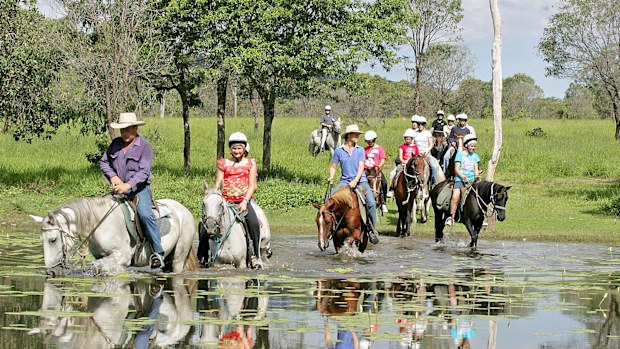 A North Queensland horse tour