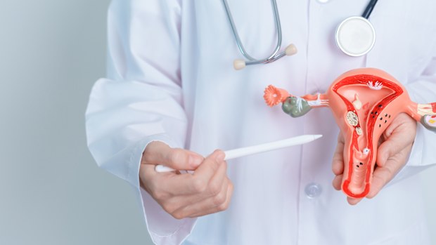Gynecologist stock 