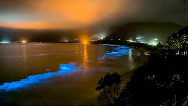 Families gathered at Pirates Bay beach to see a light show of a different kind on New Years Eve.