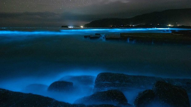 Photographer Robbie Moles captured this image on Boxing Day at Eaglehawk Neck.