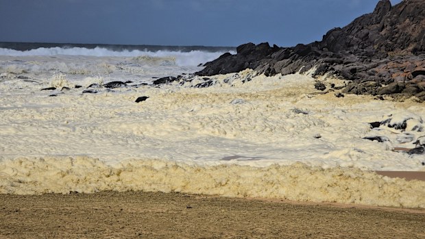 A multi-agency investigation is underway after masses of yellow foam washed up on a popular South Australian beach, leaving surfers feeling sick and infected. 