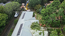 Damage from Cyclone Alfred in Tamborine Mountain.