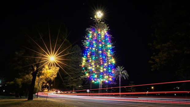 The Lake Monger Drive Christmas tree.
