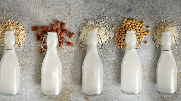 Bottles with different vegan milk and the ingredients like soy, nuts and cereals lying on a rough stone background, panoramic format, top view from above, selected focus