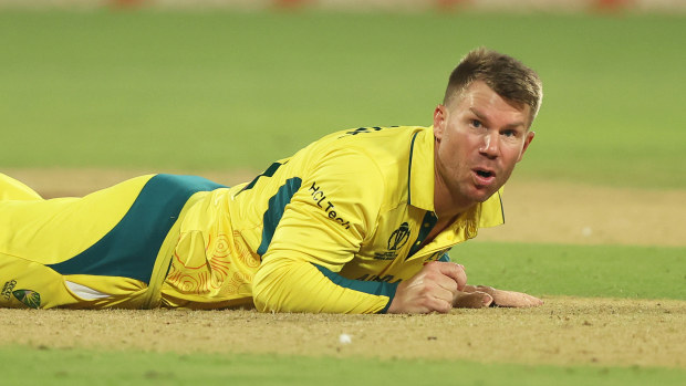 David Warner of Australia attempts to field the ball during the ICC Men's Cricket World Cup India 2023 between Australia and Pakistan at M. Chinnaswamy Stadium on October 20, 2023 in Bangalore, India. (Photo by Robert Cianflone/Getty Images)