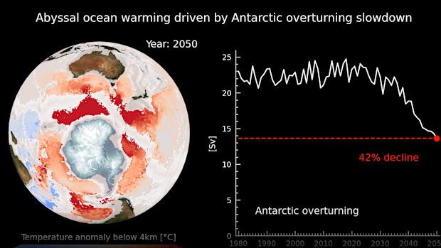 Projections show the Southern Ocean overturning could decline by more than 40 per cent by 2050. This model is based on the world's current emissions. 