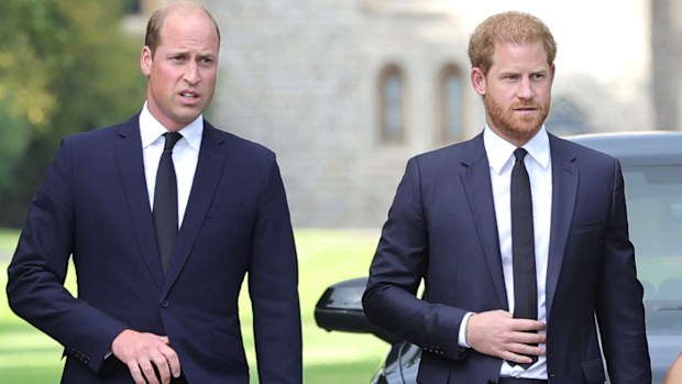 Prince Harry and Prince William