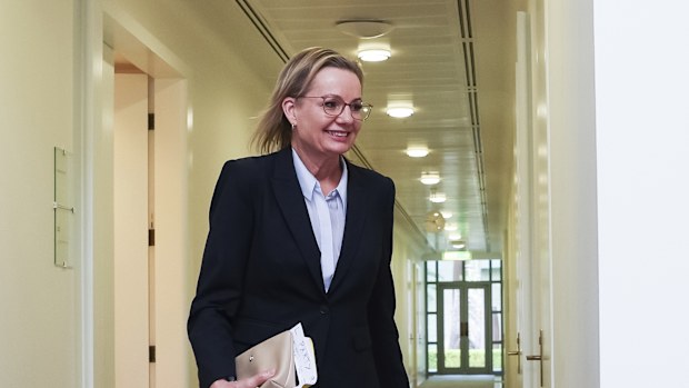 Opposition leader Sussan Ley departs after a Liberal party room meeting, at Parliament House in Canberra on Wednesday 12 November 2025. 