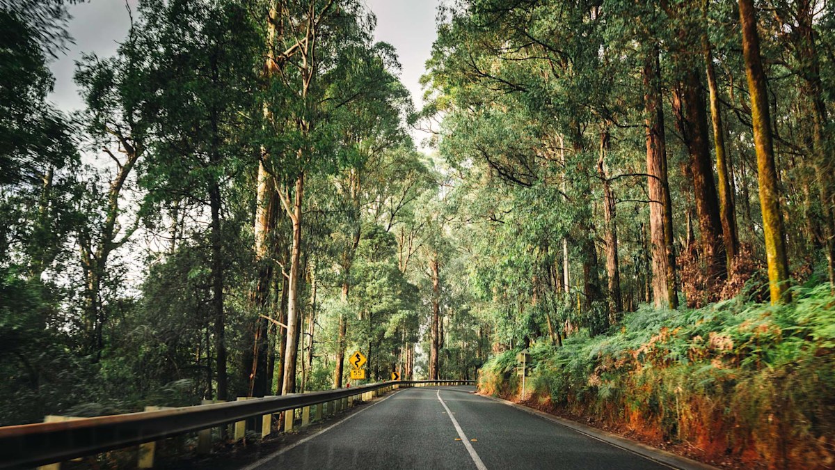 Road trips: The six best long weekend road trips from major Aussie ...