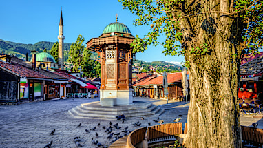 2. Bosnia