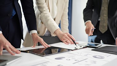 2. Project director