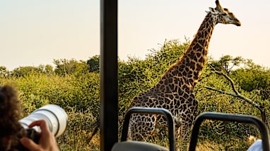 9. South Africa