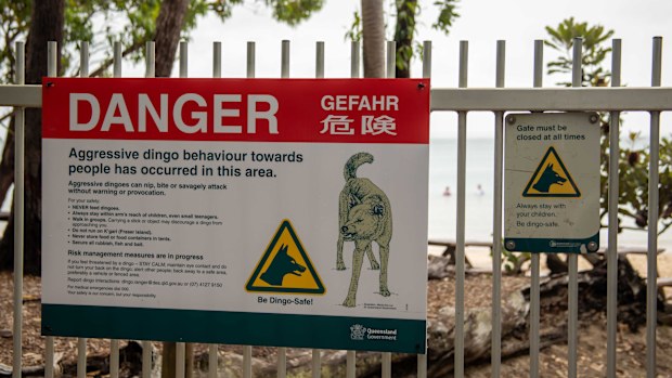 Fraser Island, Australia - February 6, 2023 :  Sign warning of aggressive dingo danger on beach of Fraser Island, Australia.