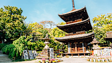 Japan was the top Asian destination for Aussies in February 2026.