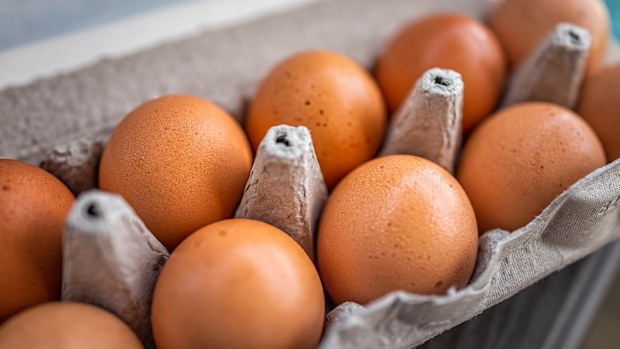 Eggs