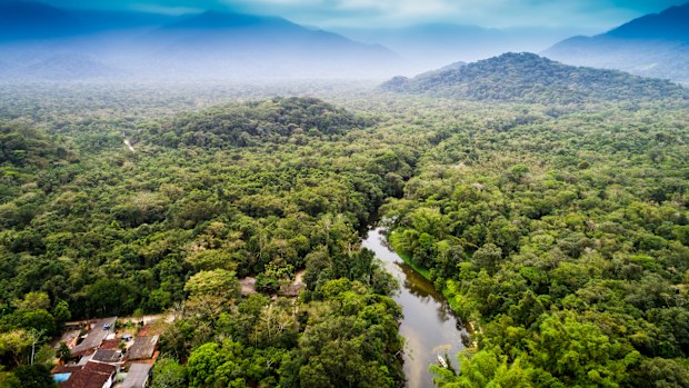 Aerial View of Amazon Rainforest, South America