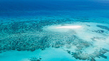 A trip to the reef was the highlight.