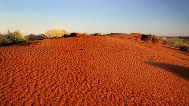 A sand dune at sunrise in the Simpson Desert, outback Australia.