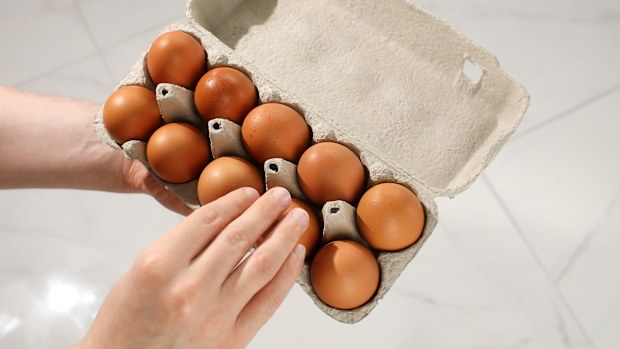 Eggs egg carton dozen eggs hand holding egg