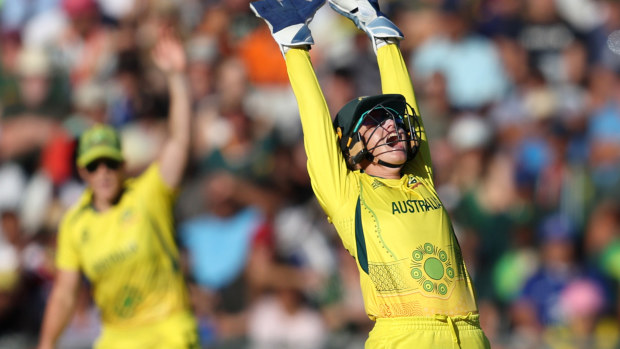 Alyssa Healy successfully appeals for lbw of South Africa's Laura Wolvaardt during the ICC Women's T20 World Cup final.