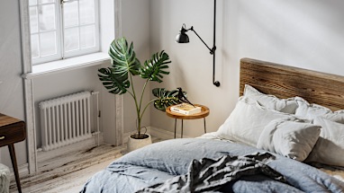 Add a plant to your bedroom