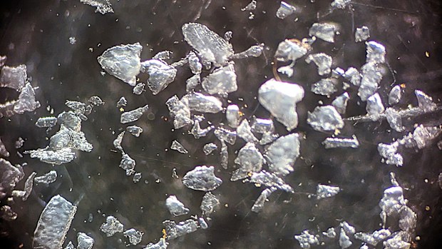 Some of Australia's leading skincare brands have been forced to pull popular products from shelves in one state for containing banned plastic microbeads. 