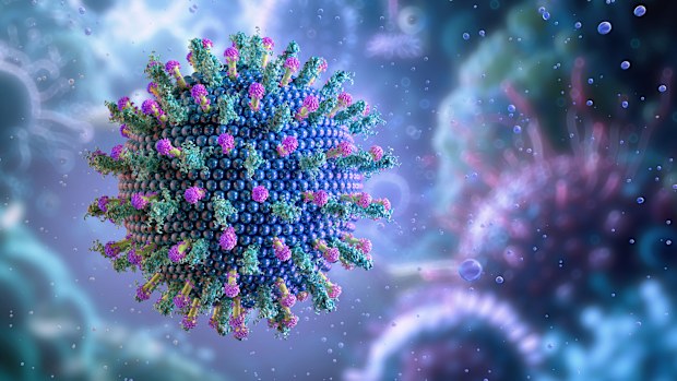 Hepatitis virus HBV, HCV causes chronic disease, liver inflammation. Antiviral antibody treatments diagnose infection, cirrhosis, fibrosis. Biology, genotype of hepatotropic viruses affect health. 3D