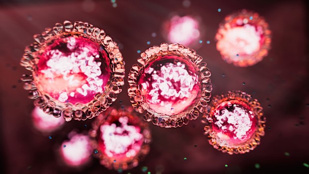 Measles morbillivirus structure - 3d rendered image. Abstract background.  
