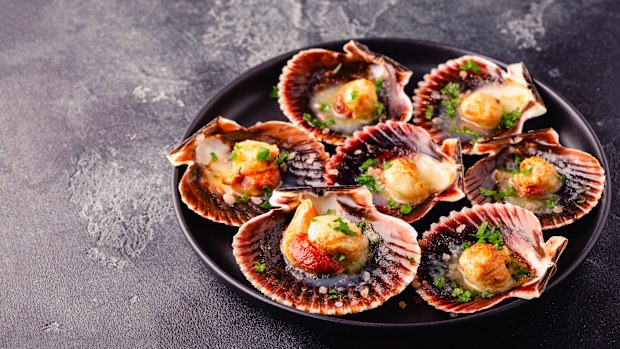 Cooked scallops with parsley on a plate