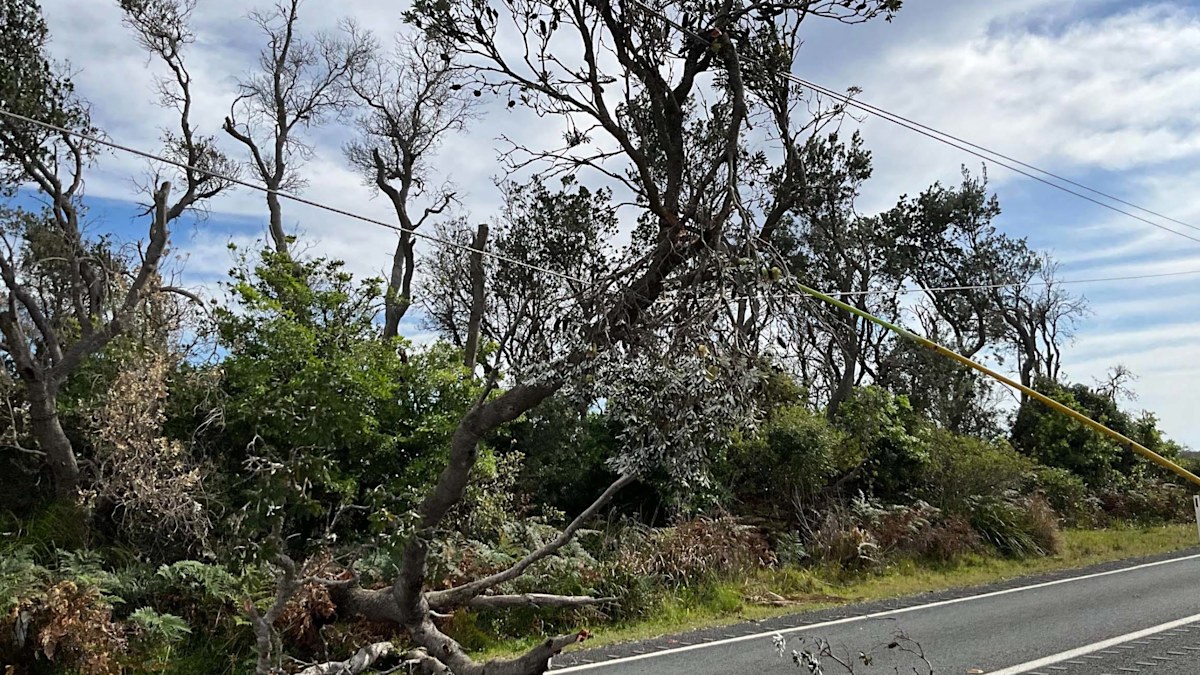 Weather forecast Australia: Almost 6000 homes without power as wild ...