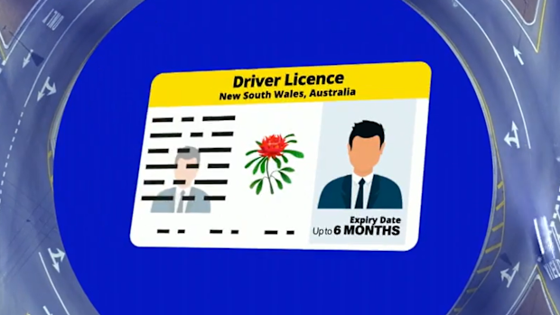 NSW driver's licence