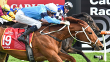 Durston (GB) ridden by Michael Dee wins the Carlton Draught Caulfield Cup at Caulfield Racecourse on October 15, 2022 in Caulfield, Australia. (Photo by Reg Ryan/Racing Photos)