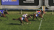 Autumn Boy wins the 2025 Caulfield Guineas.