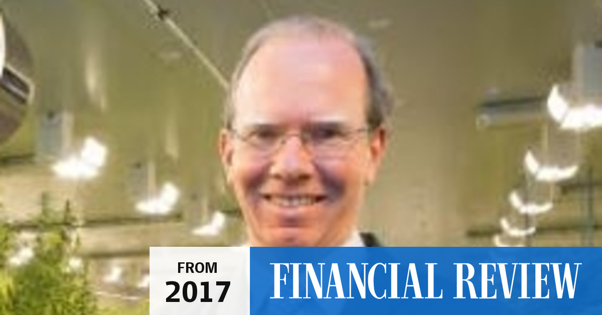 CEO of cannabis firm Cann's return from death's door