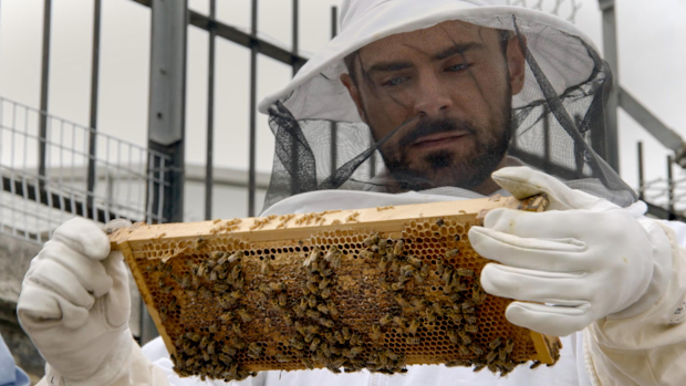 Down to Earth, Netflix: Zac Efron learns about the bees (sorry, birds) -- with a side of Hilton product placement in NYC.